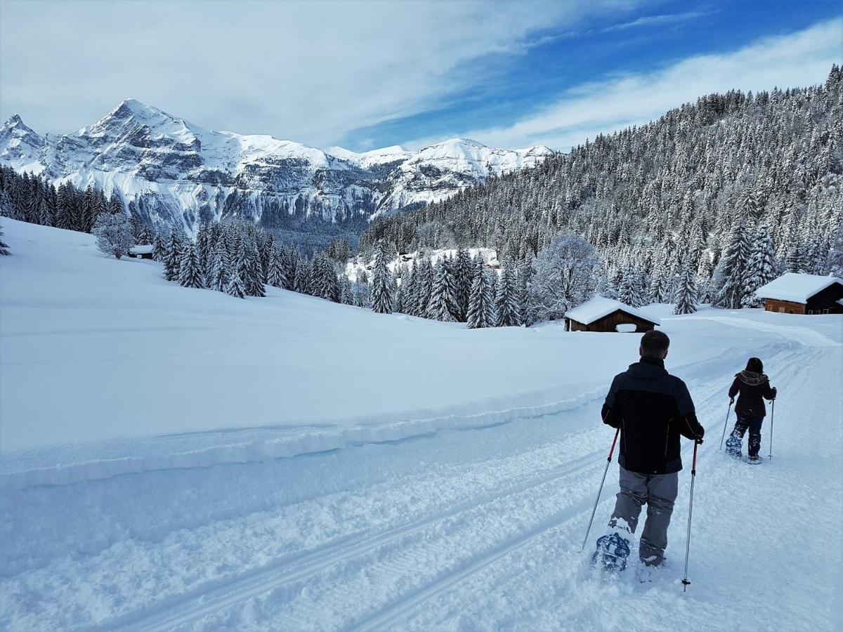 Chalet Arpitan - Les Carroz - Grand Massif Esterno foto