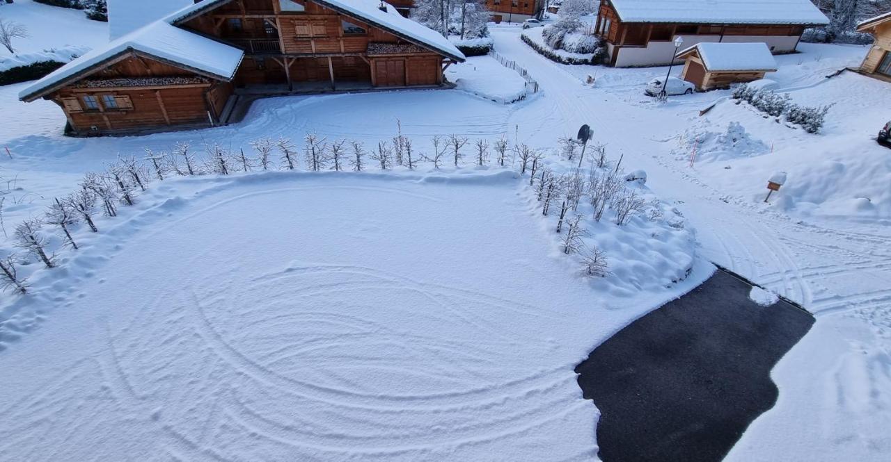 Chalet Arpitan - Les Carroz - Grand Massif Esterno foto