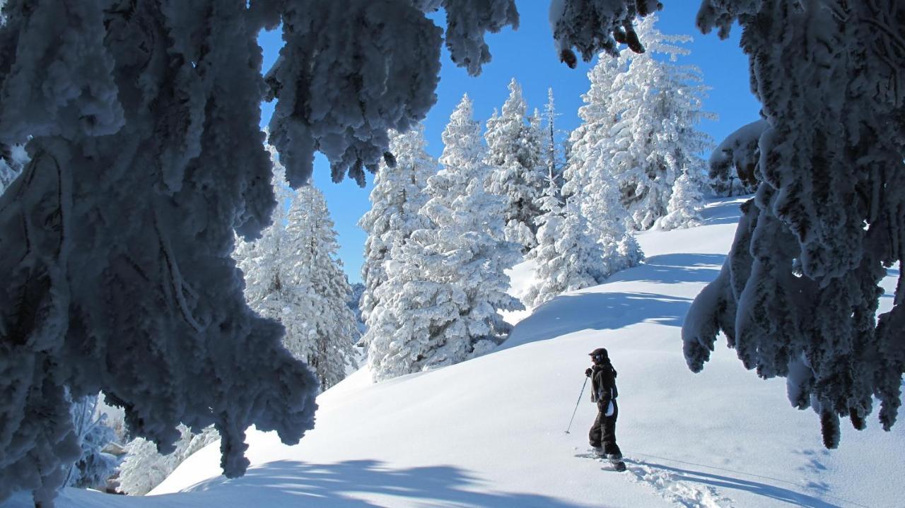 Chalet Arpitan - Les Carroz - Grand Massif Esterno foto