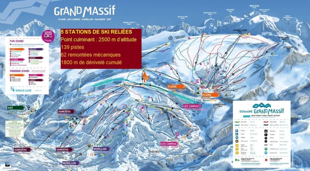 Chalet Arpitan - Les Carroz - Grand Massif Esterno foto