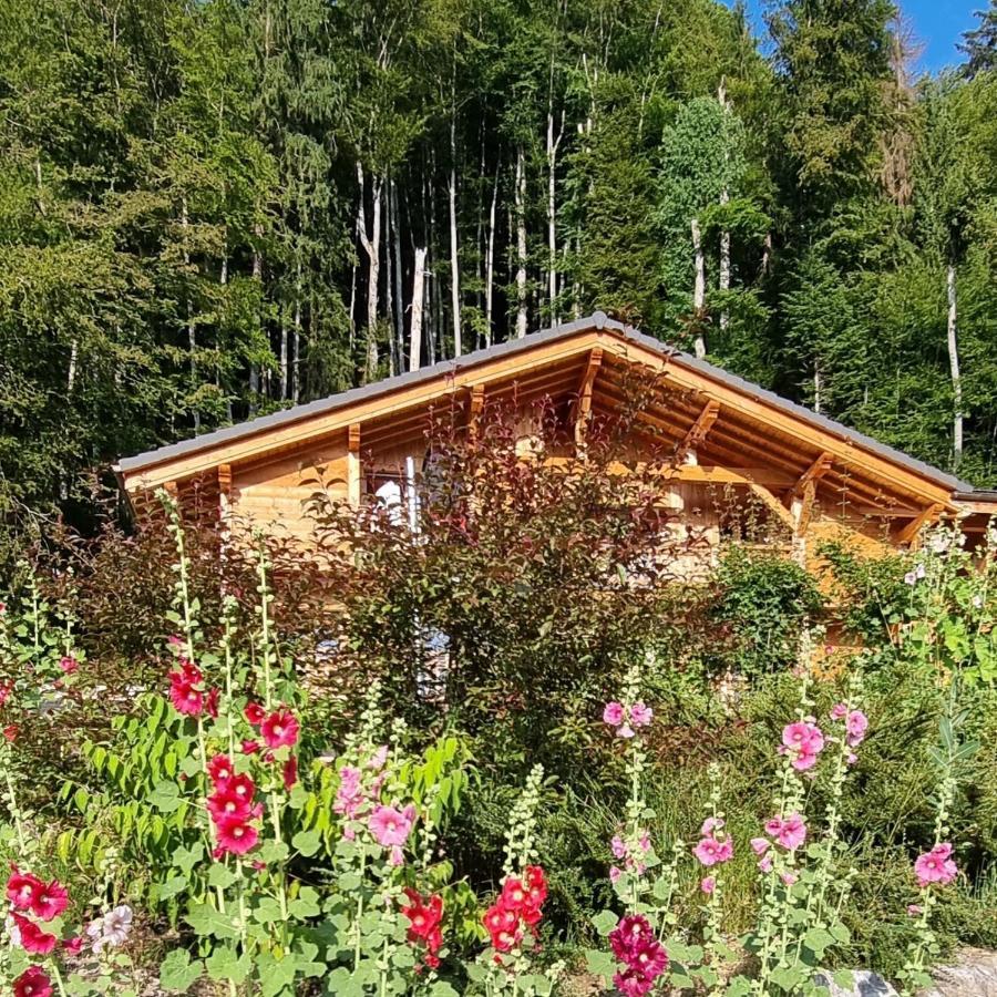 Chalet Arpitan - Les Carroz - Grand Massif Esterno foto