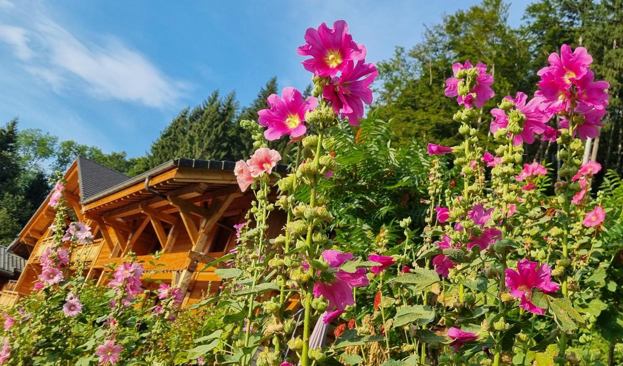 Chalet Arpitan - Les Carroz - Grand Massif Esterno foto
